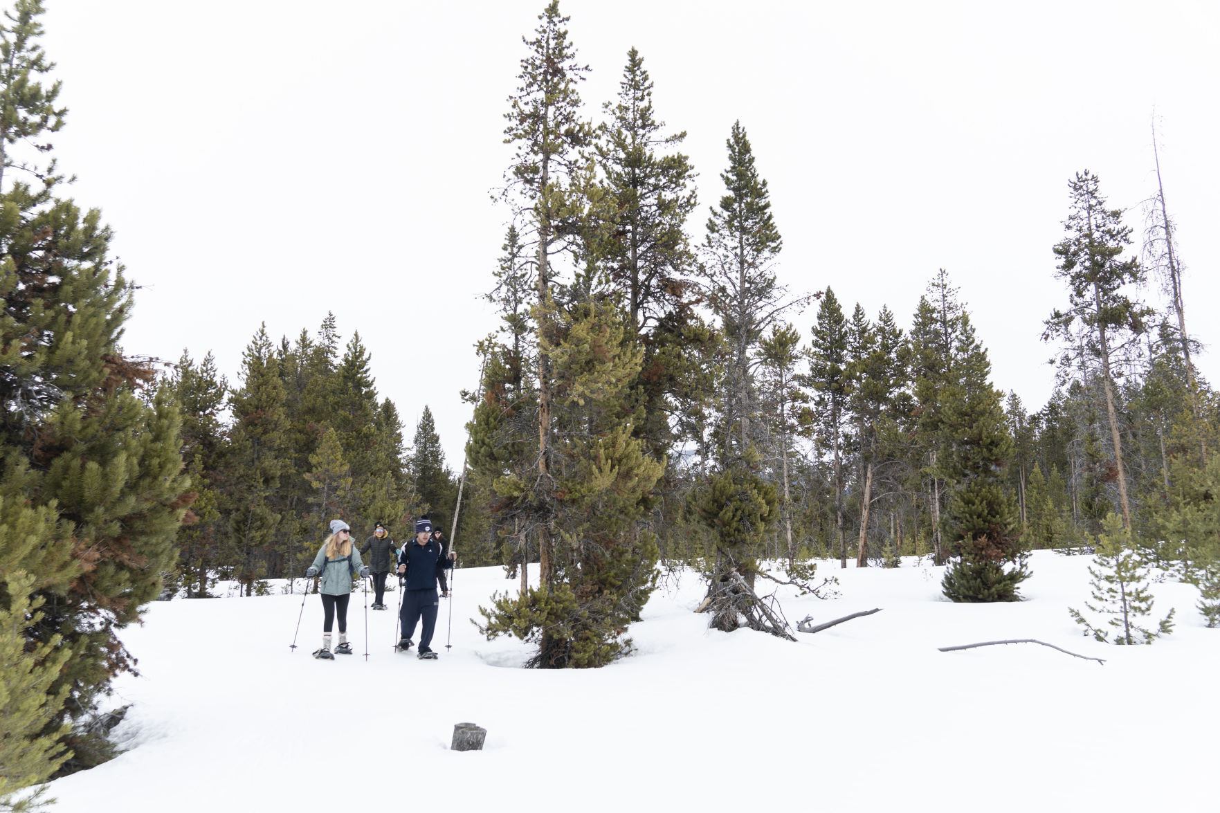 Mystery Sawtooth Adventure with CSI